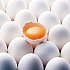 Вред от употребления яиц